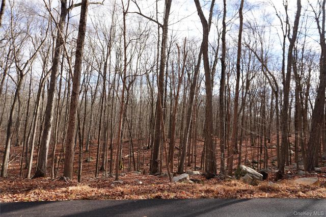 Route 301 Rt-301, Carmel, NY 10512