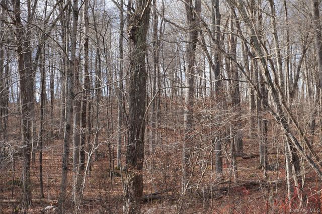 Route 301 Rt-301, Carmel, NY 10512