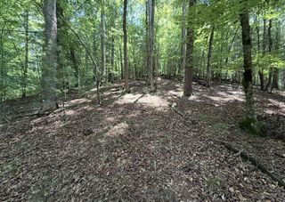 Lot 2607 Magnet Court, Ellijay, GA 30540