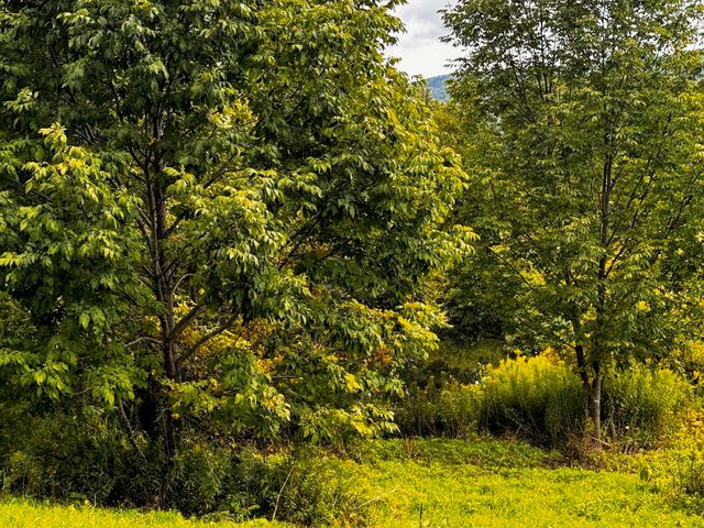 5 Staples Road Lot #3, Danby, VT 05739