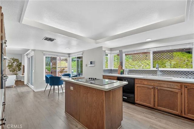 3807 Via Manzana, San Clemente, CA 92673