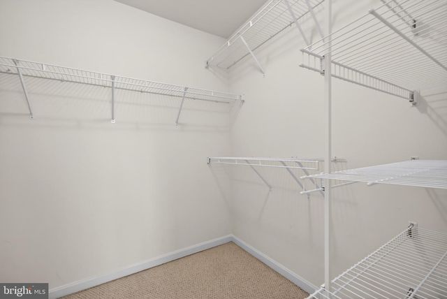 8166 TENBROOK DR, Gainesville, VA 20155