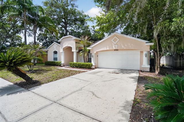 3725 HOLLOW WOOD DRIVE, Valrico, FL 33596
