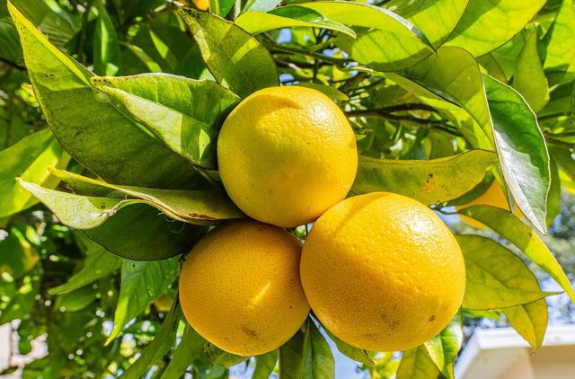 89 Via Descanso, Monterey, CA 93940