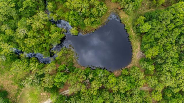 592 RS County Road 1151, Emory, TX 75440
