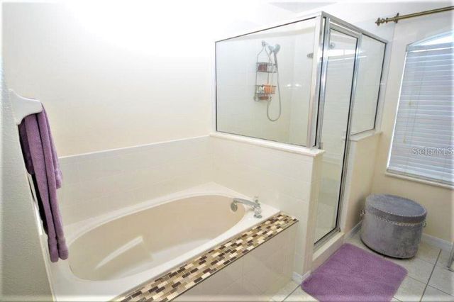 13900 FOX GLOVE STREET, Winter Garden, FL 34787