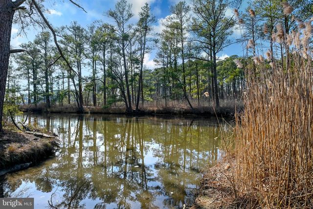 34168 SANDERLING DR, Frankford, DE 19945