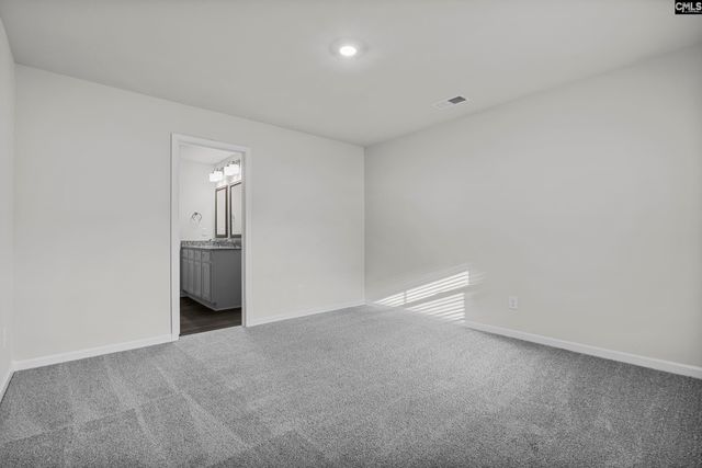 164 Calm Citadel Drive, Pelion, SC 29123