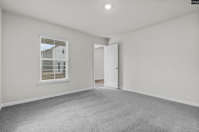 164 Calm Citadel Drive, Pelion, SC 29123