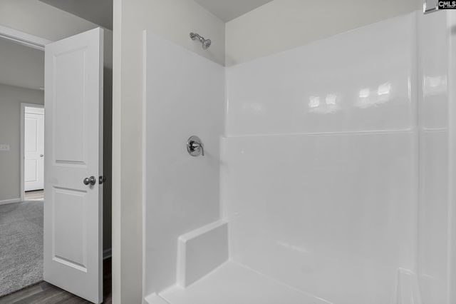 164 Calm Citadel Drive, Pelion, SC 29123