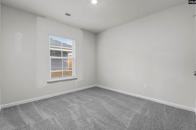164 Calm Citadel Drive, Pelion, SC 29123