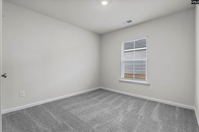 164 Calm Citadel Drive, Pelion, SC 29123