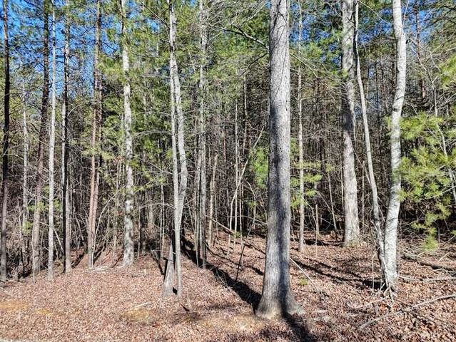 Tract 3 Mauney Circle, Blairsville, GA 30512