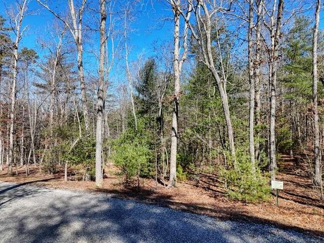 Tract 3 Mauney Circle, Blairsville, GA 30512