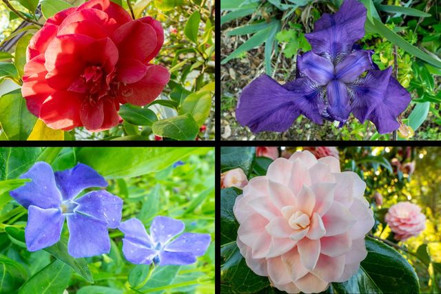 12602 Spenceville Rd, Penn Valley, CA 95946