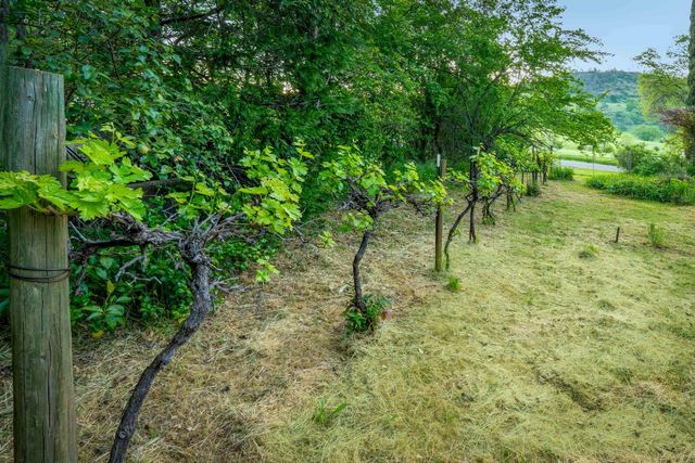 12602 Spenceville Rd, Penn Valley, CA 95946