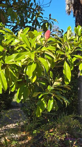 12602 Spenceville Rd, Penn Valley, CA 95946