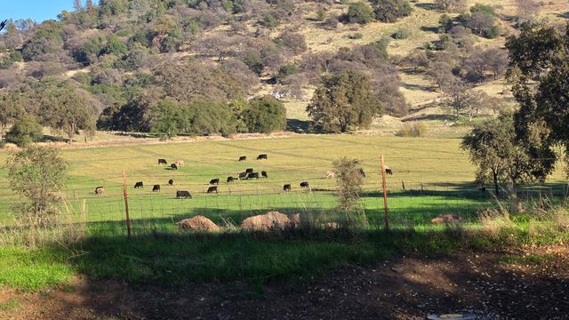 12602 Spenceville Rd, Penn Valley, CA 95946