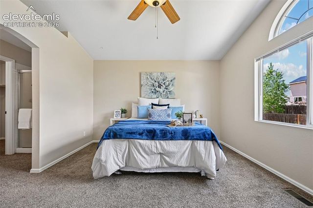 7150 Allens Park Drive, Colorado Springs, CO 80922