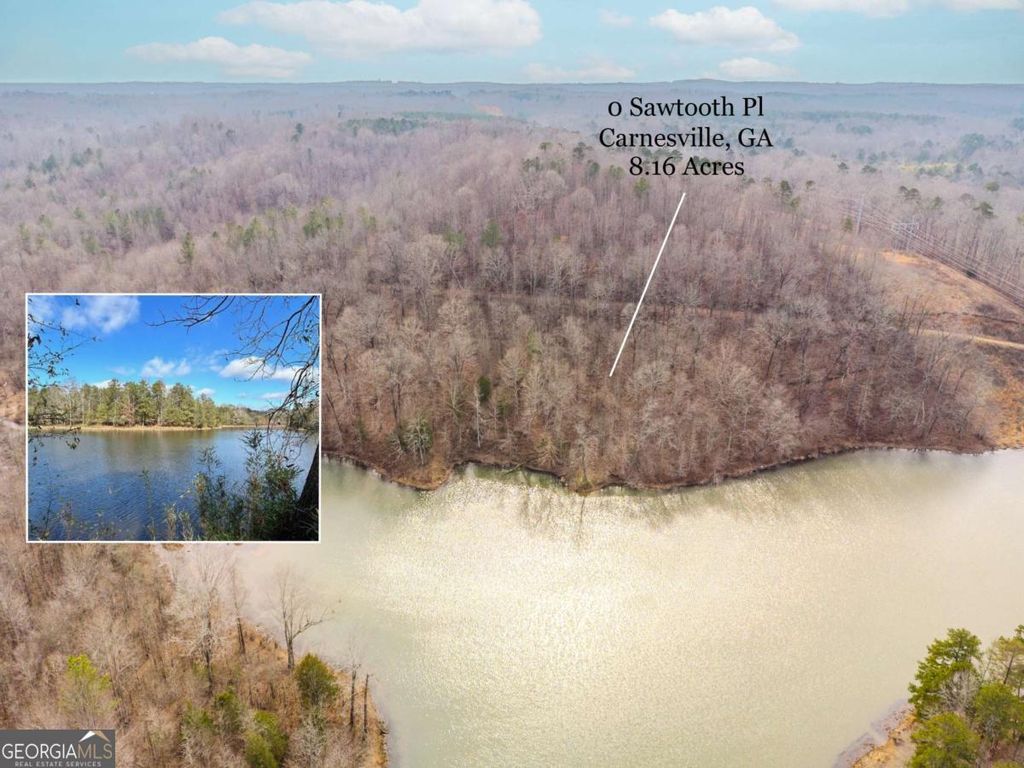 0 Sawtooth Place, Carnesville, GA 30521 — exterior