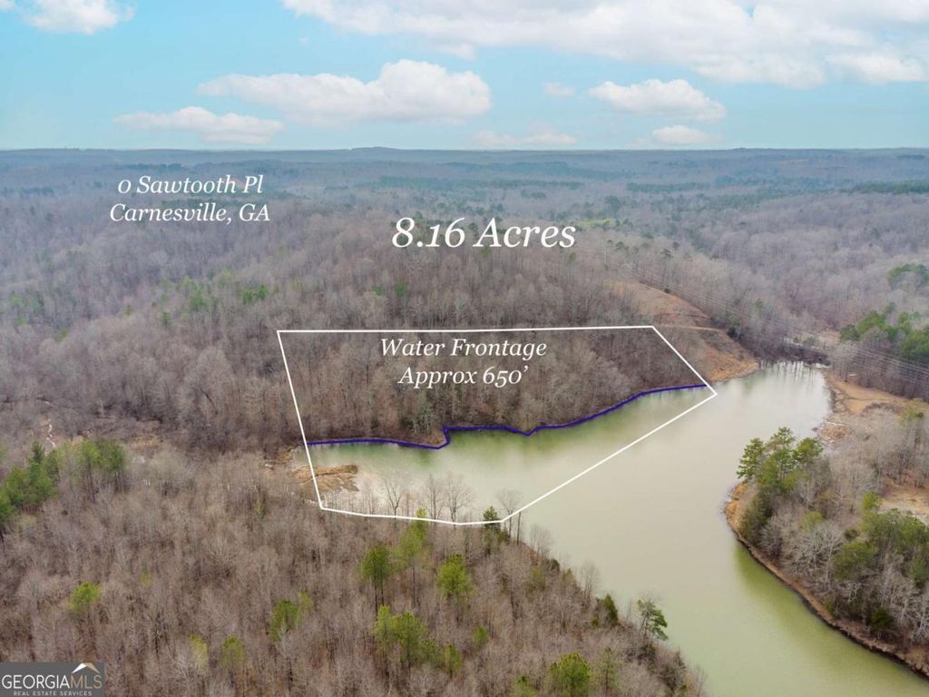0 Sawtooth Place, Carnesville, GA 30521 — photo 2