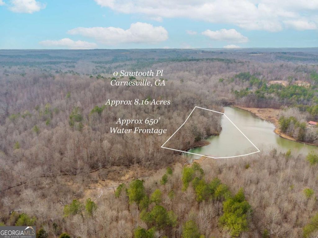 0 Sawtooth Place, Carnesville, GA 30521 — photo 3