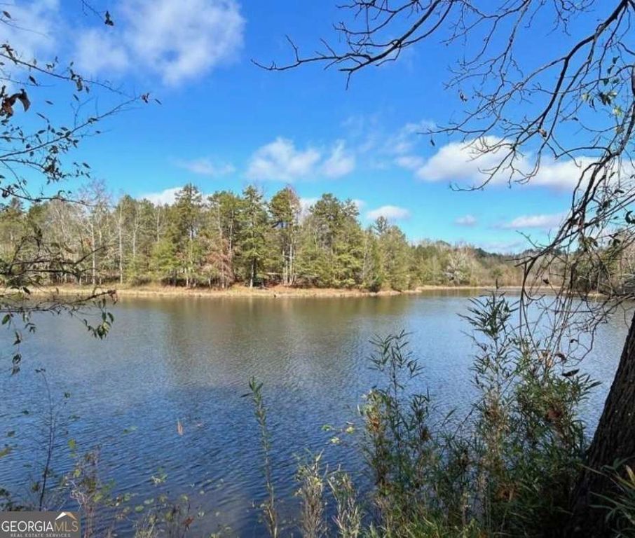 0 Sawtooth Place, Carnesville, GA 30521 — photo 4