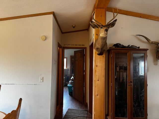 3917 County Road 4220, West Plains, MO 65775