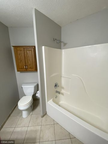 3572 Bailey Ridge Alcove, Woodbury, MN 55125