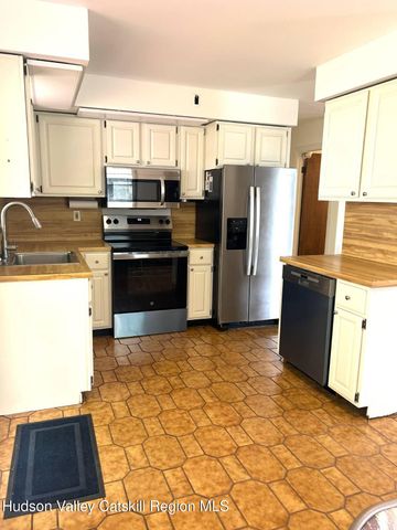 375 N N. Lake Road, Haines Falls, NY 12436