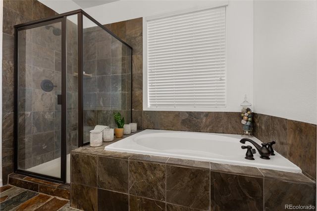 784 Ellsworth Court, Castle Rock, CO 80104