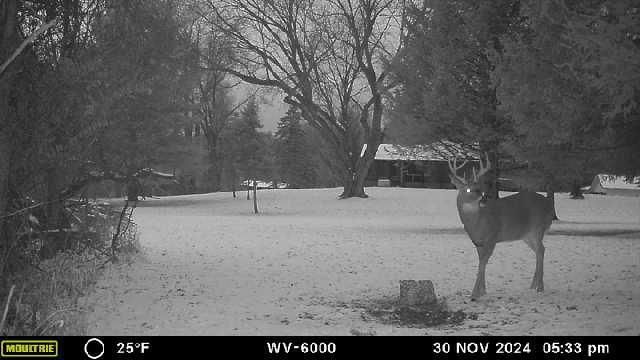 1836 Platt Street, Niles, MI 49120