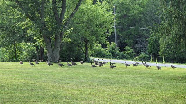 1836 Platt Street, Niles, MI 49120