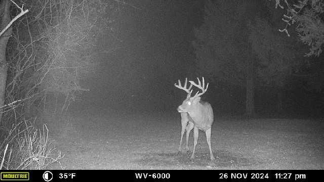 1836 Platt Street, Niles, MI 49120