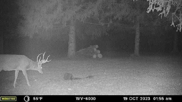 1836 Platt Street, Niles, MI 49120