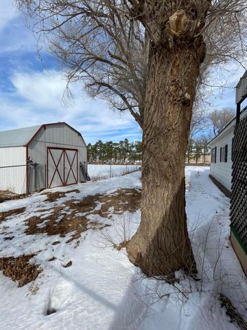 2805 U.S. 385 Highway, Dimmitt, TX 79027