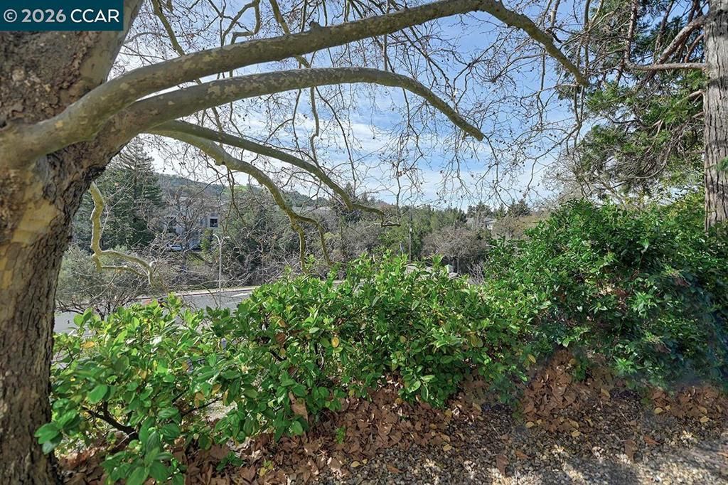 Image 5 of property listing at 2005 2005 CACTUS CT 4, Walnut Creek, CA 94595