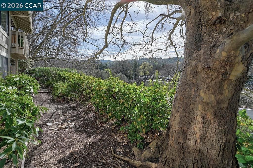 Image 6 of property listing at 2005 2005 CACTUS CT 4, Walnut Creek, CA 94595