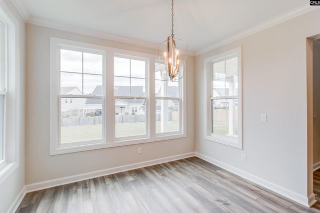 2351 Hadley Crossing, Chapin, SC 29036