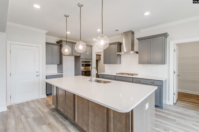 2351 Hadley Crossing, Chapin, SC 29036