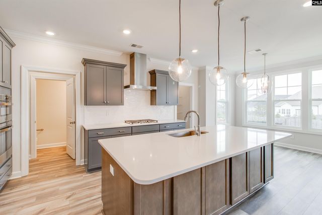 2351 Hadley Crossing, Chapin, SC 29036