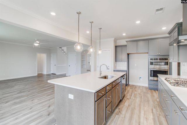 2351 Hadley Crossing, Chapin, SC 29036