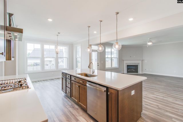 2351 Hadley Crossing, Chapin, SC 29036