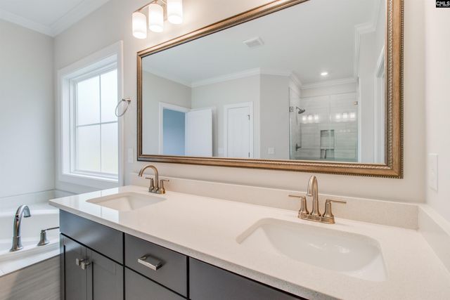 2351 Hadley Crossing, Chapin, SC 29036