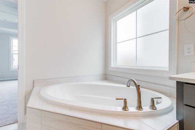 2351 Hadley Crossing, Chapin, SC 29036