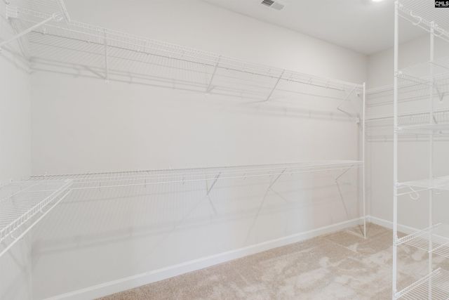 2351 Hadley Crossing, Chapin, SC 29036