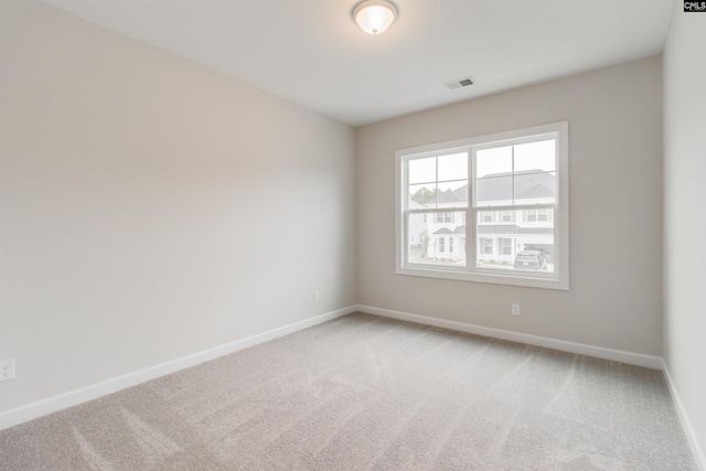 2351 Hadley Crossing, Chapin, SC 29036