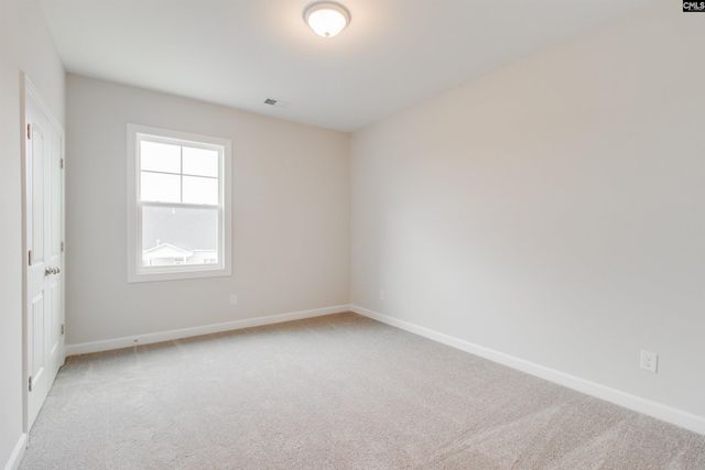 2351 Hadley Crossing, Chapin, SC 29036