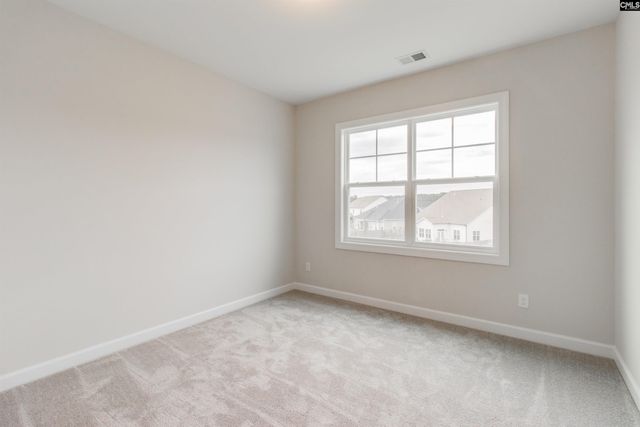 2351 Hadley Crossing, Chapin, SC 29036