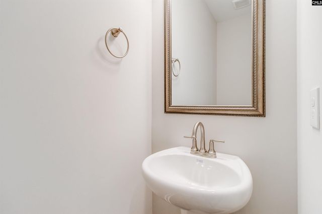 2351 Hadley Crossing, Chapin, SC 29036